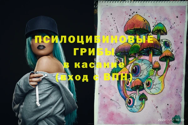 каннабис Аркадак