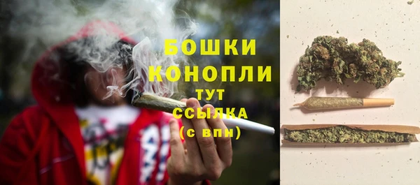 PSILOCYBIN Армянск