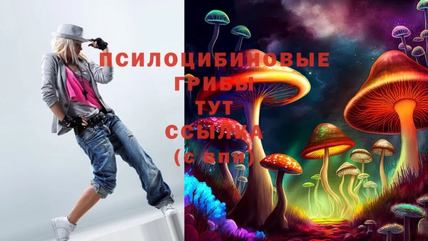 а пвп мука Алзамай